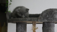 DSC00821.jpg