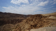 DSC06990.jpg