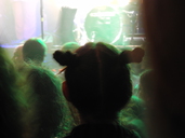 DSCN2686.jpg