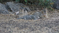 DSC04847.JPG