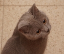 DSC09946C.jpg