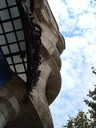 DSCF1342.jpg