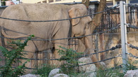 DSC03647.jpg