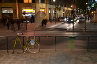DSC_0393.jpg