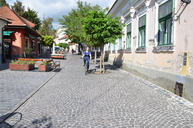 DSC_0509.jpg