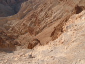 DSCF0253.jpg