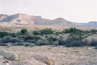 F1020012.jpg