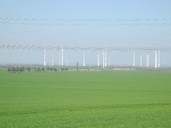 DSCN0128.jpg