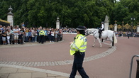 DSC07416.jpg