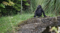 DSC07518.jpg