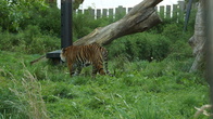 DSC07524.jpg