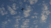 DSC07698.jpg