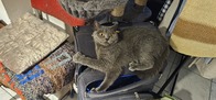 20260823_060638.JPG