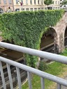 20260825_165509.JPG