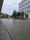 20260825_170243.JPG