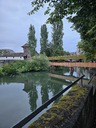 20260825_195819.JPG