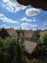 20260826_130020.JPG