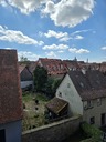 20260826_130157.JPG