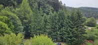 20260827_180402.JPG