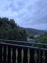 20260828_063851.JPG