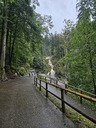 20260828_124958.JPG