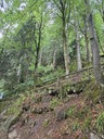 20260828_131331.JPG
