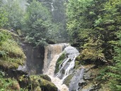 20260828_131814.JPG
