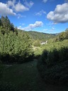 20260829_093617.JPG