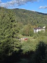 20260829_093628.JPG