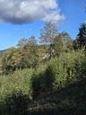 20260829_093632.JPG