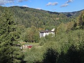 20260829_093641.JPG