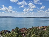 20260829_125127.JPG
