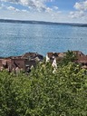 20260829_125159.JPG