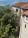 20260829_125251.JPG