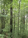 20260830_172051.JPG