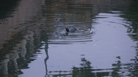 DSC01265.JPG