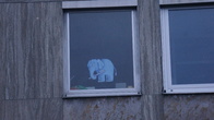 DSC01274.JPG