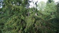 DSC01310.JPG