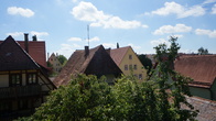 DSC01317.JPG