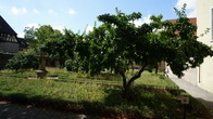 DSC01336.JPG