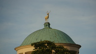 DSC01394.JPG