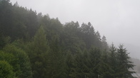 DSC01590.JPG