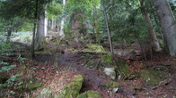 DSC01592.JPG