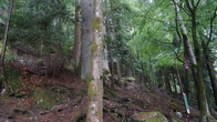 DSC01594.JPG