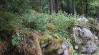 DSC01599.JPG