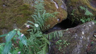 DSC01604.JPG