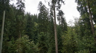 DSC01609.JPG