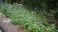 DSC01610.JPG