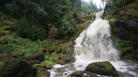 DSC01612.JPG