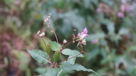 DSC01639.JPG